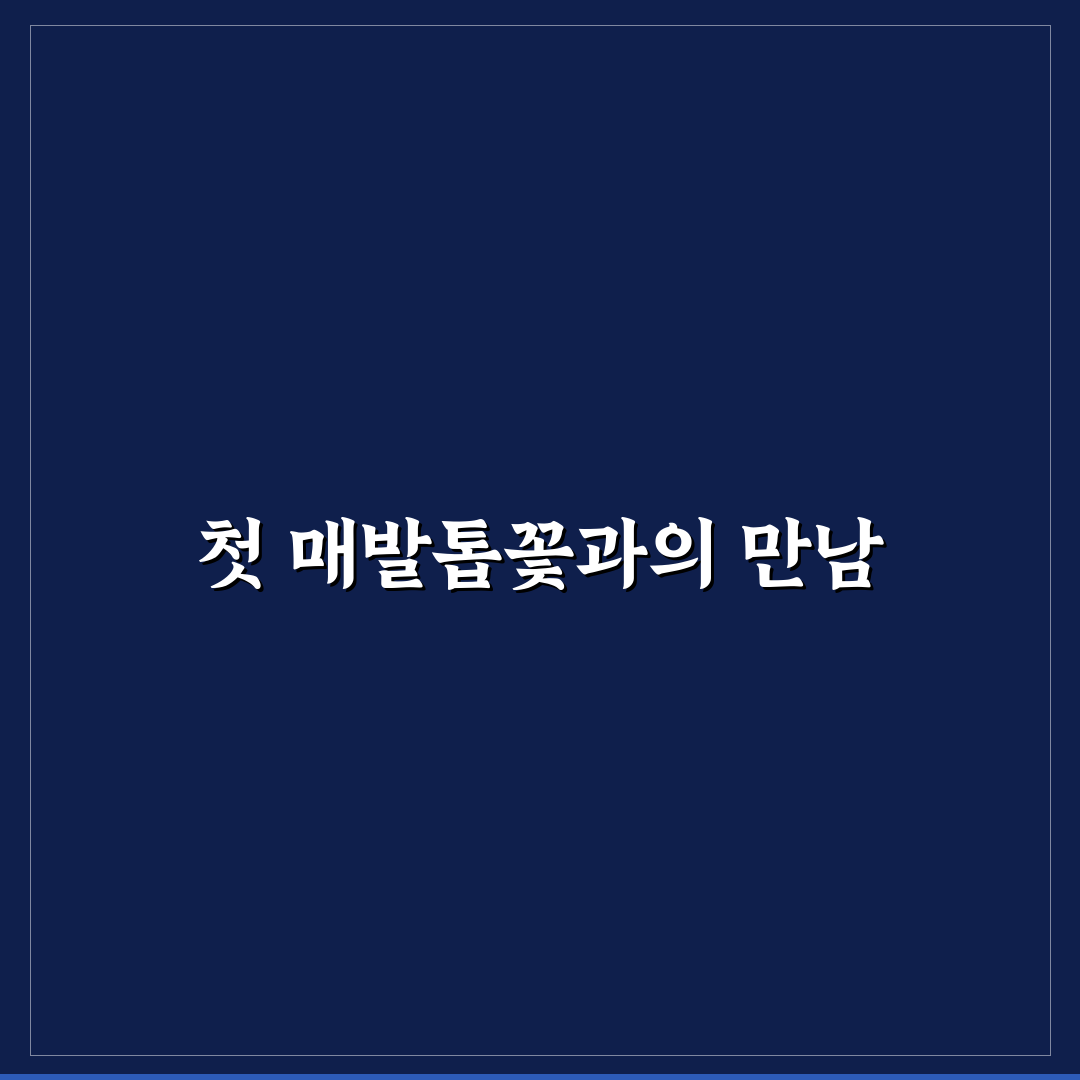 매발톱꽃 키우는법 직접 알아보니 초보도 가능했어요