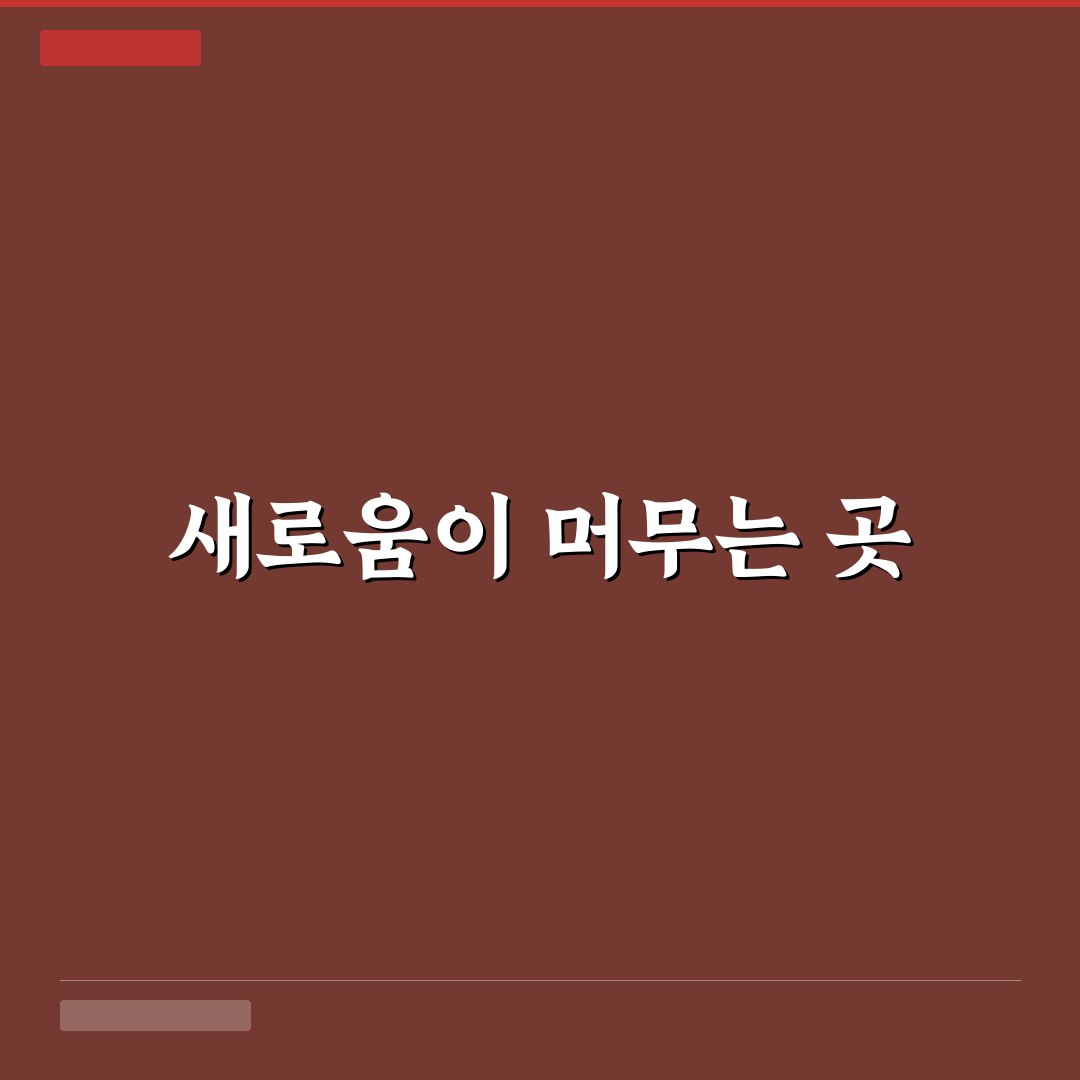 오프사이드 카페 방문 후기, 분위기와 메뉴 솔직 리뷰