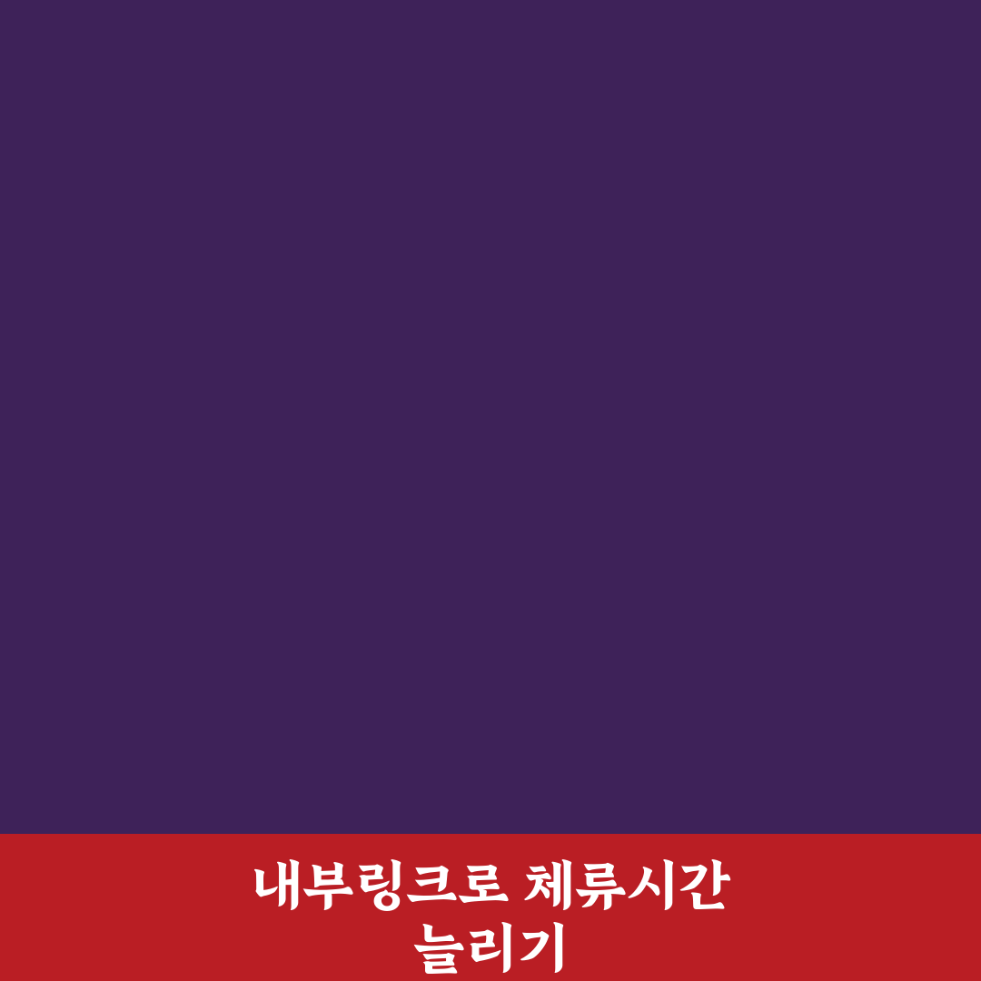 내부링크 구조를 잘 설계하면 블로그 체류시간 늘어나는 팁 공개