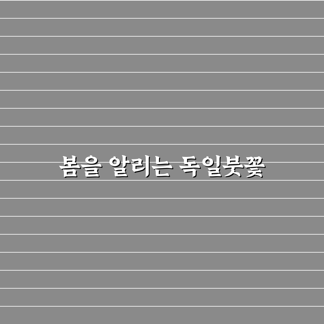 독일붓꽃 모종 사용 후기, 직접 키워보니 느낀 점