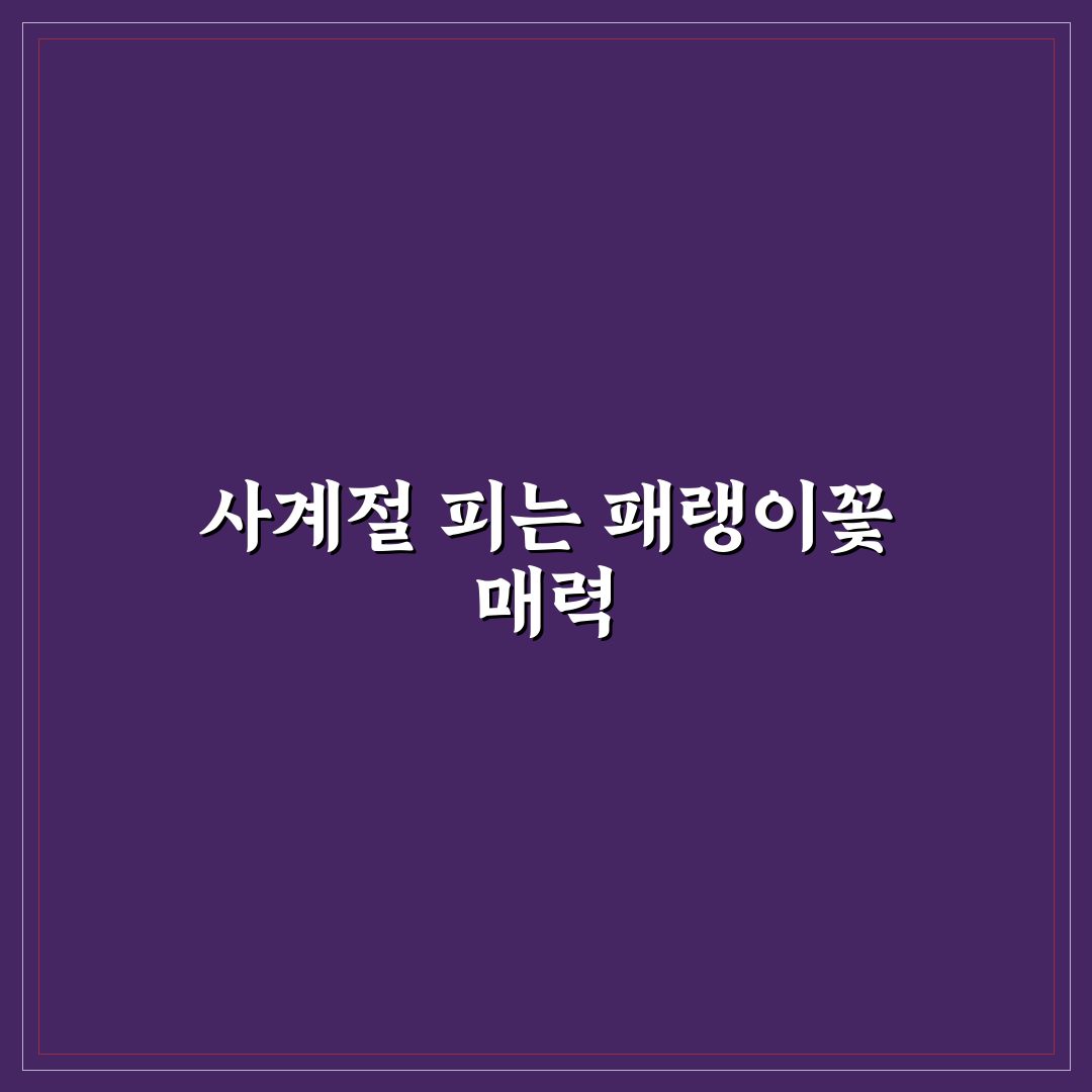 사계 패랭이꽃 직접 키워보니 계절별 변화가 신기했어요