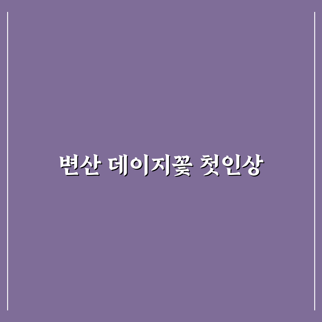 변산 데이지꽃 방문 후기, 직접 가보니 자연이 주는 힐링감