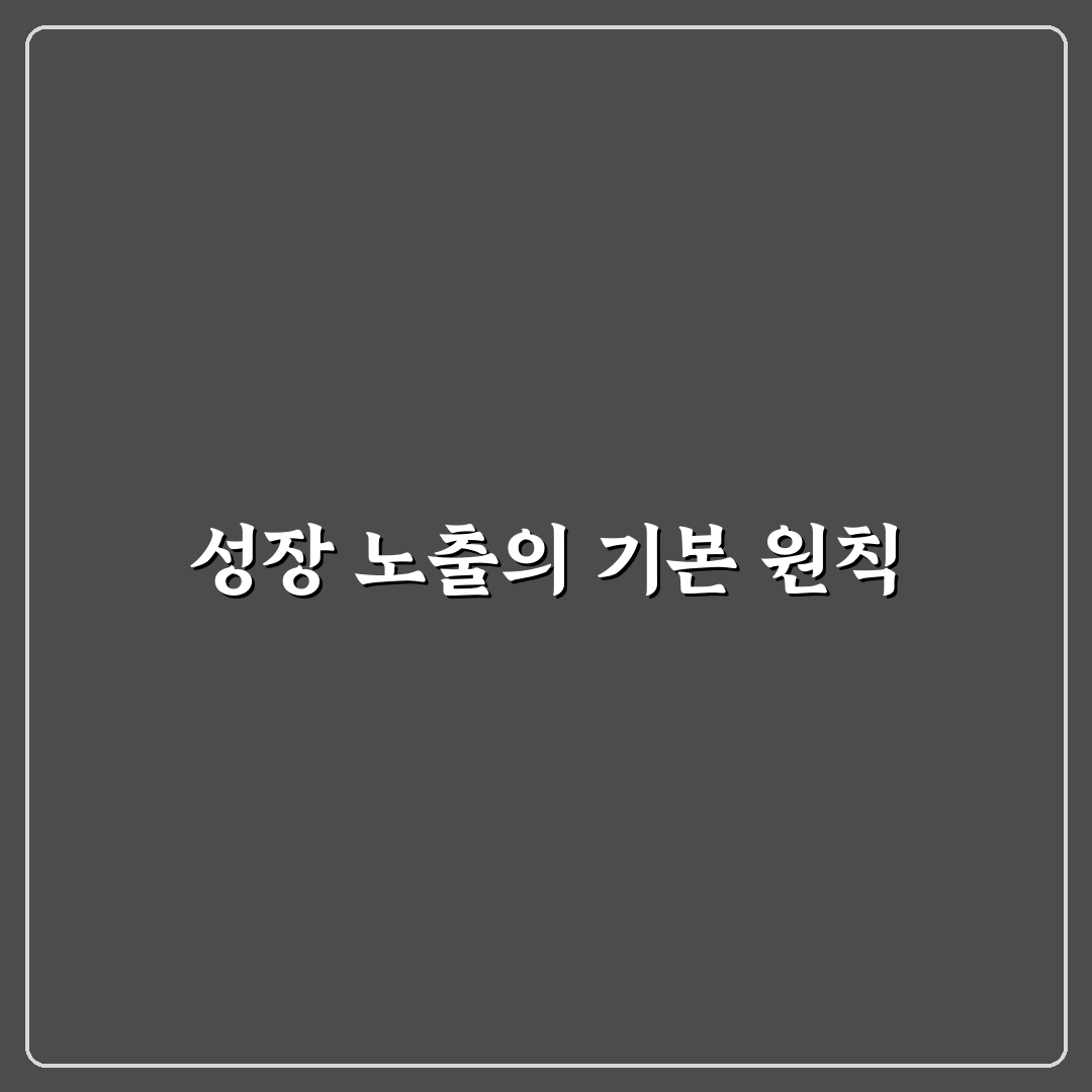 초보 블로그가 성장형 노출 전략 세울 때 5가지 핵심가이드