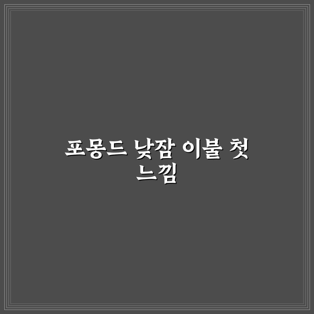 포몽드 낮잠이불 사용 후기, 직접 써보니 어땠는지