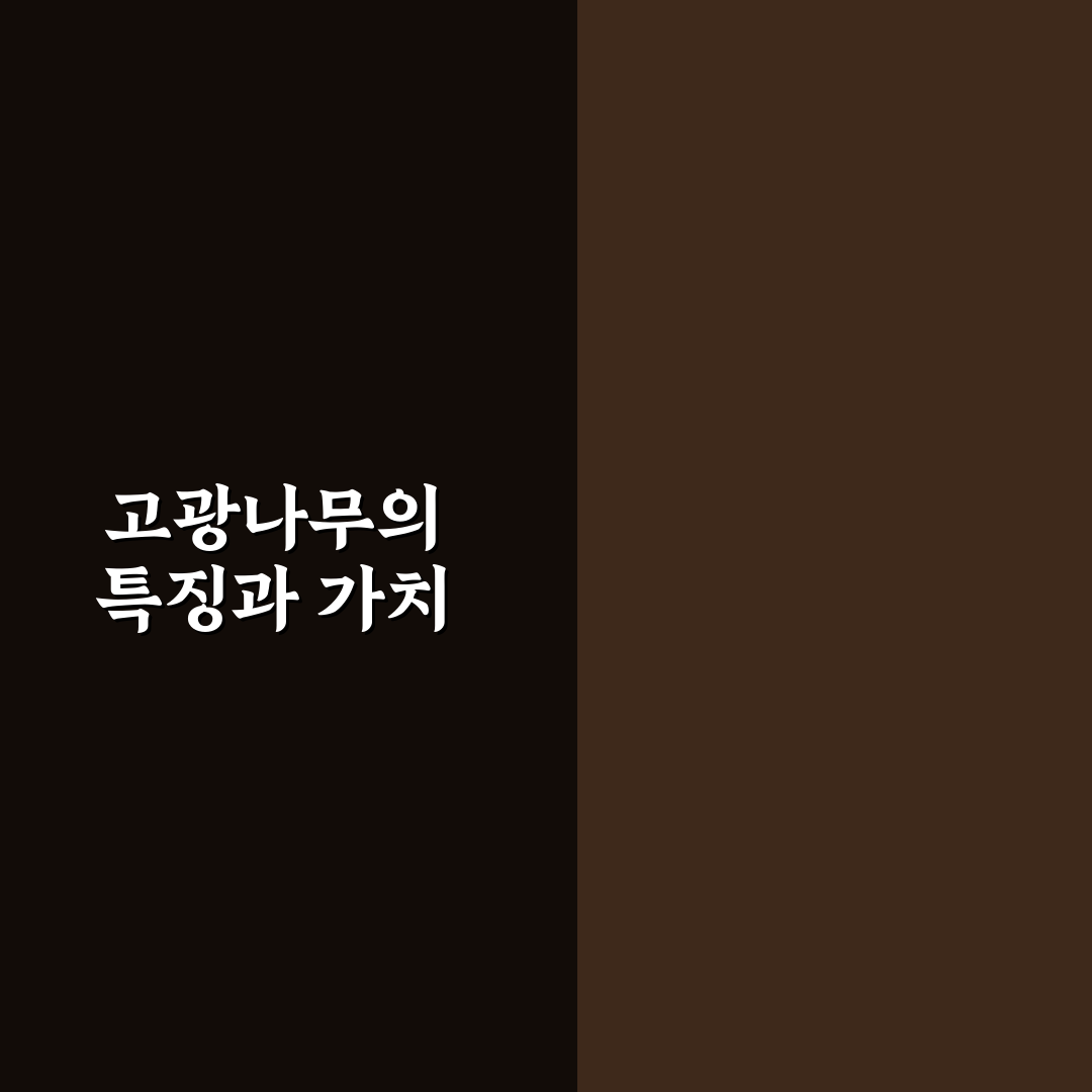 고광나무 키우기 꿀팁 쉽게 배우는 초보자 가이드