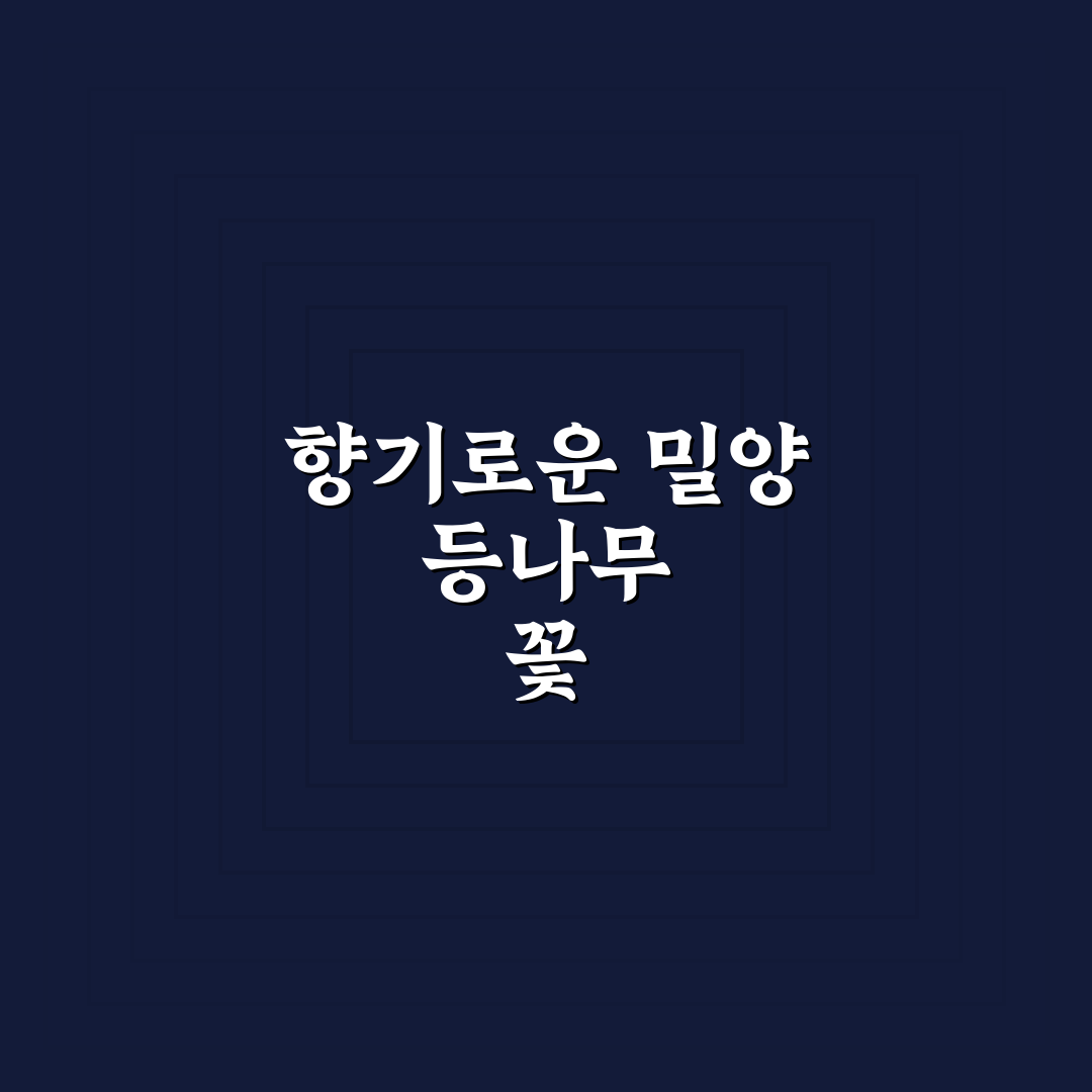 밀양 등나무 꽃 개화 시기와 관리 꿀팁 알려드려요