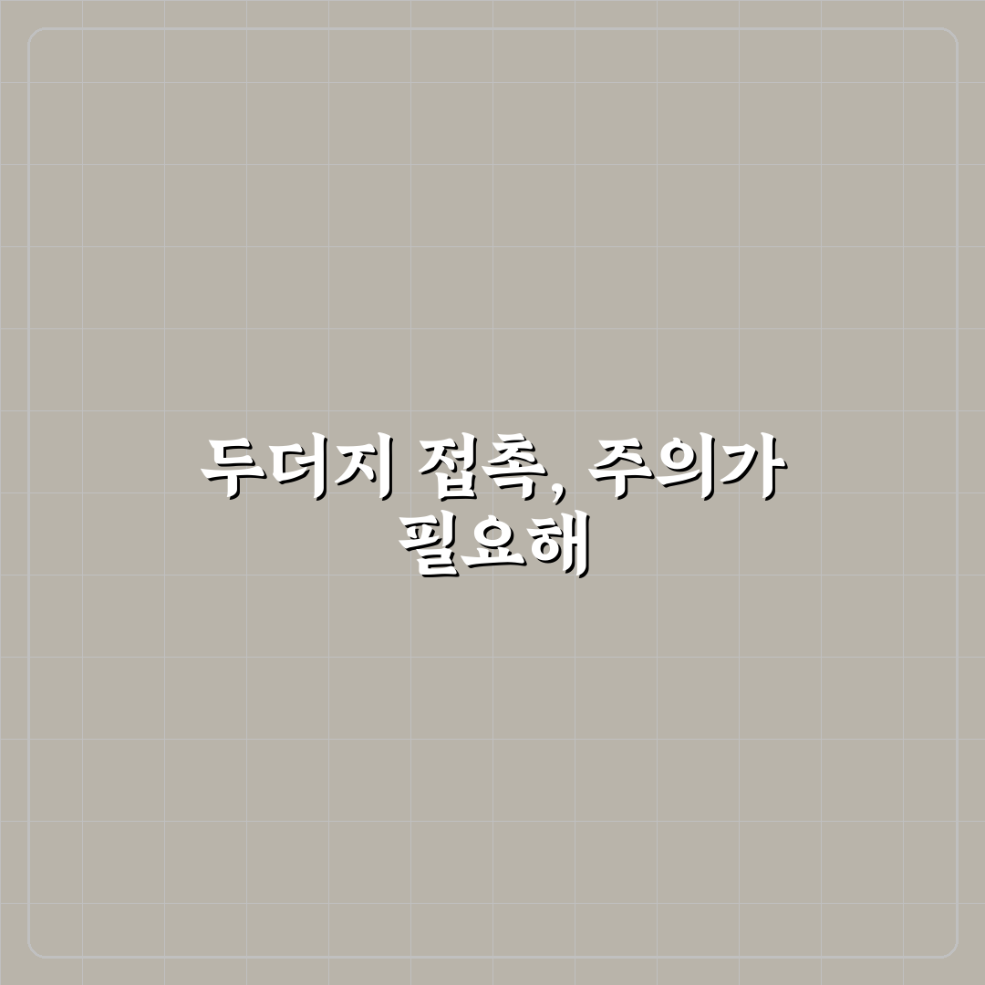두더지 만지지 마라 이유와 주의할 점 꿀팁 정리