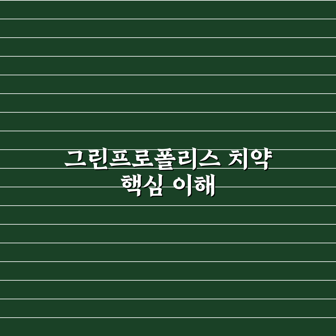 그린프로폴리스 치약 사용법과 효과 꿀팁 정리