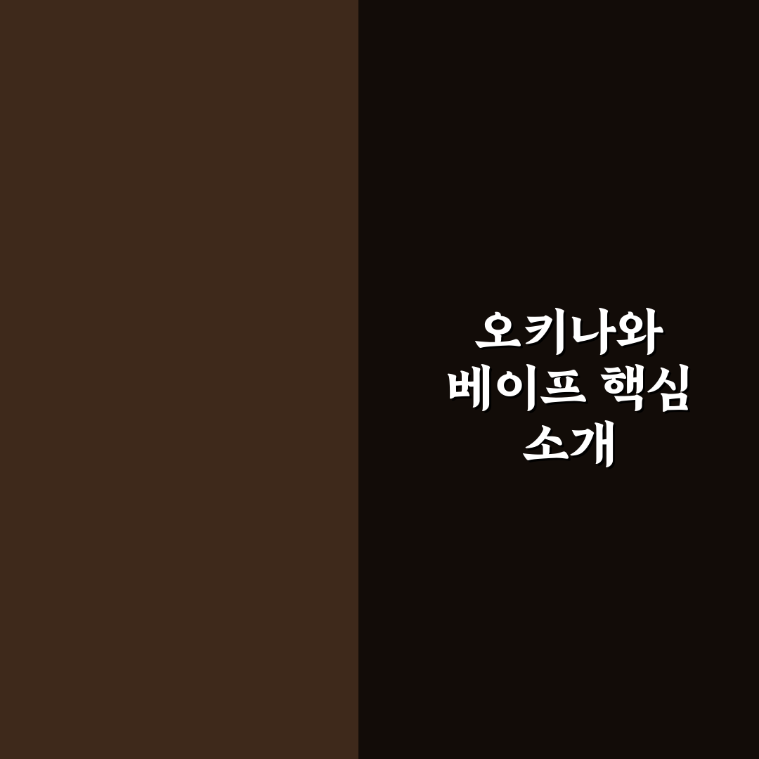 오키나와 베이프 사용법과 꿀팁 쉽게 알려드려요