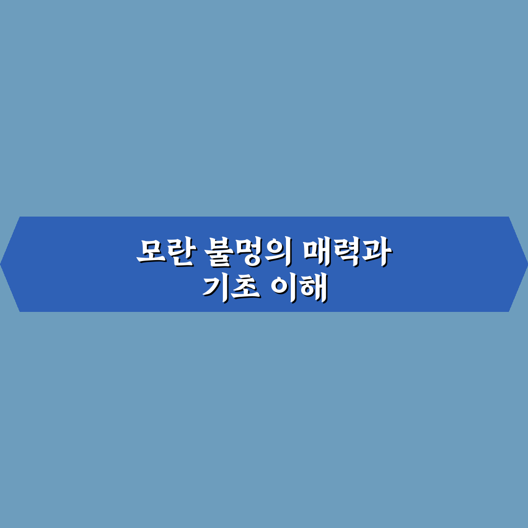 모란 불멍 즐기는 방법과 꿀팁 공유