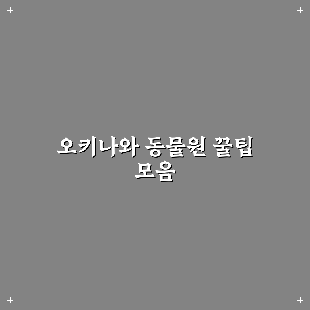 오키나와 동물원 추천 방문 꿀팁과 주요 정보 정리