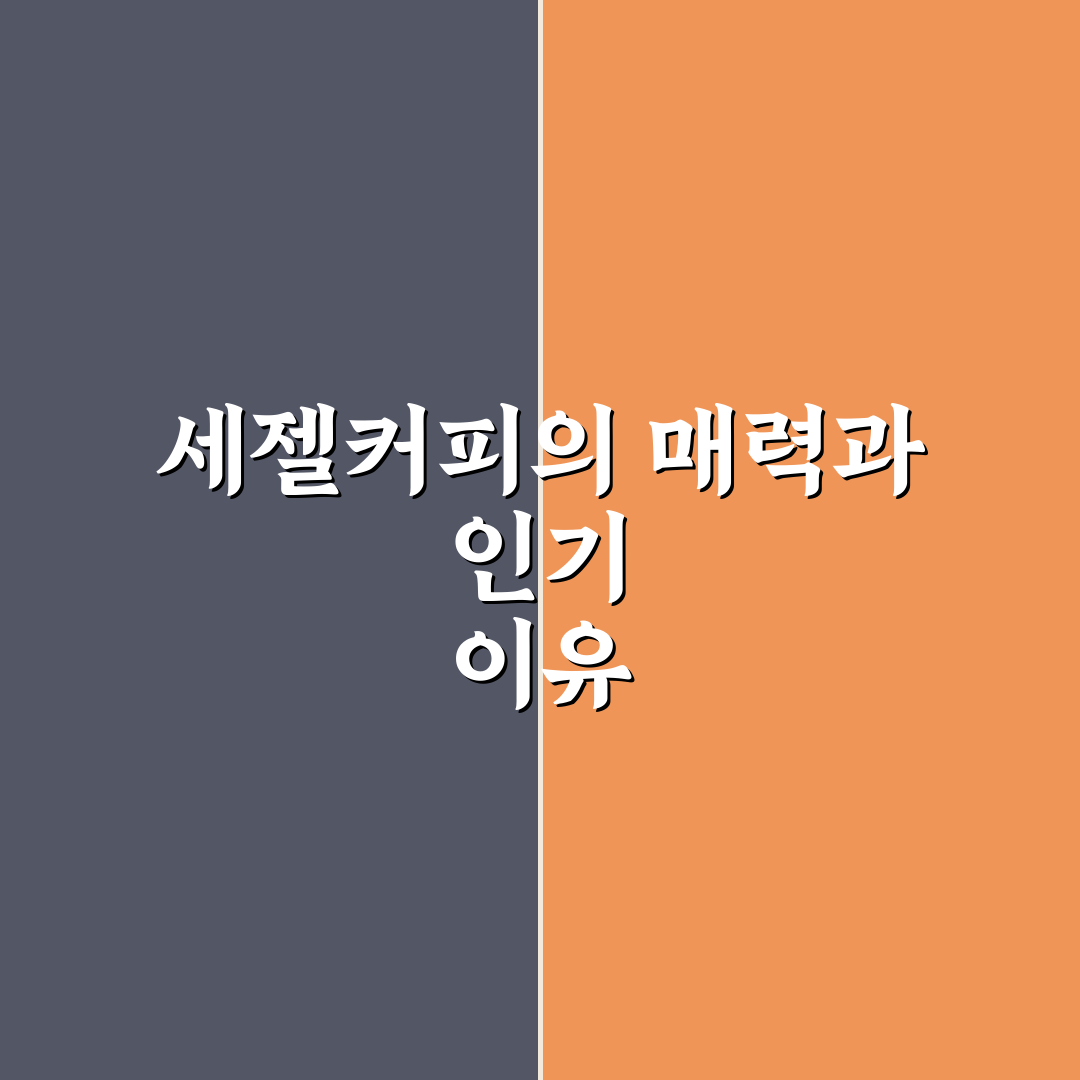 세젤커피 선택과 활용 꿀팁 초보자도 쉽게 이해하기