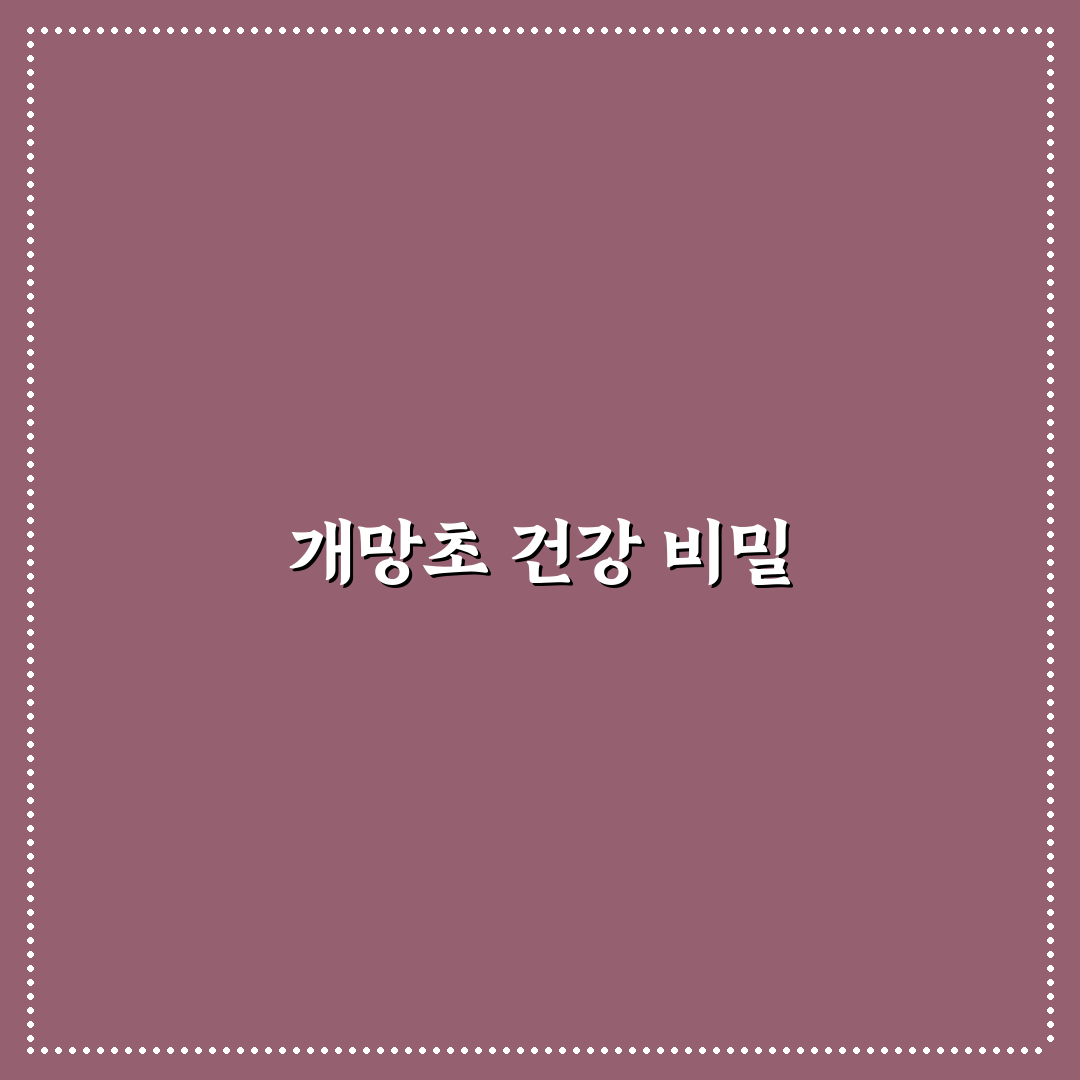 개망초효능과 활용법 쉽게 알려드려요