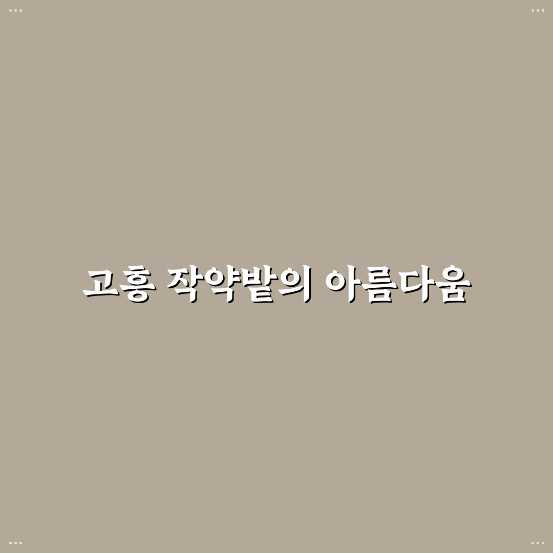 고흥 작약밭 방문 꿀팁과 꽃구경 정보 정리