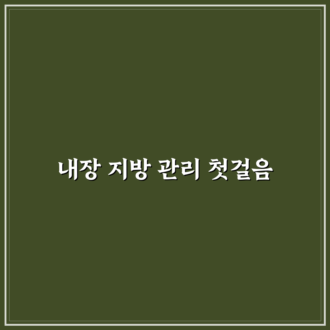 내장지방 레벨 4 여자, 직접 관리해보니 변화와 한계
