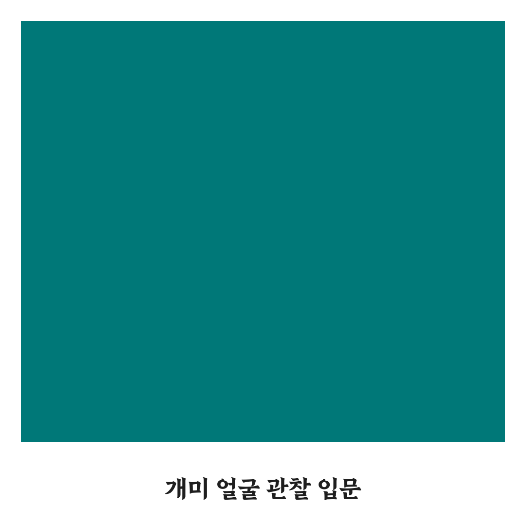 개미 얼굴 현미경 활용법과 꿀팁 알려드려요