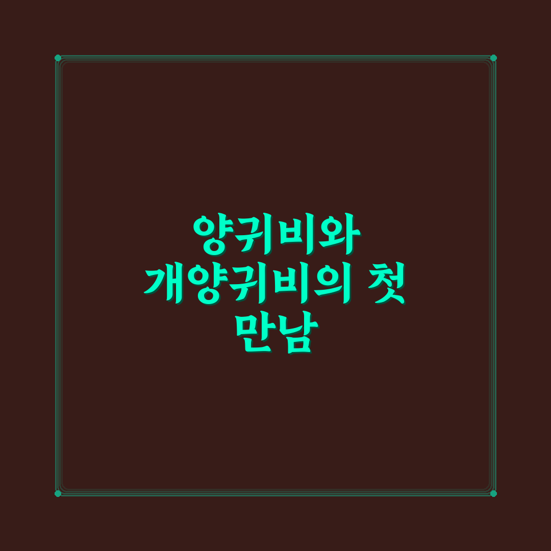 양귀비 개양귀비 차이 직접 알아보니 헷갈리는 점들