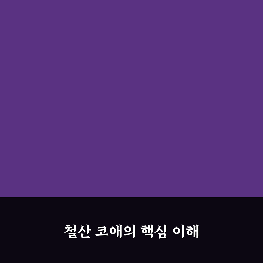 철산 코애 방문 전 꼭 알아야 할 꿀팁 정리