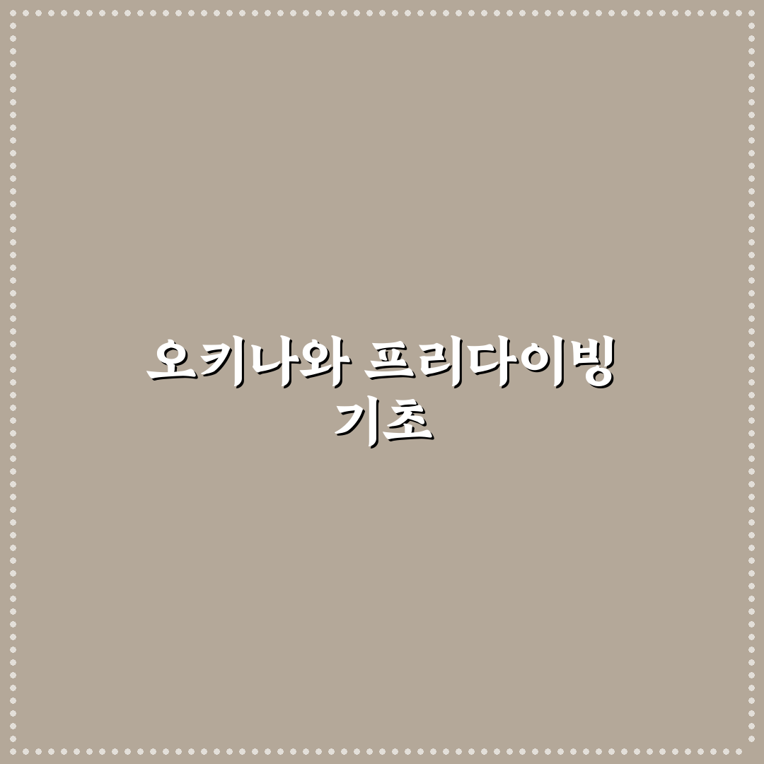 오키나와 프리다이빙 초보자를 위한 꿀팁 정리