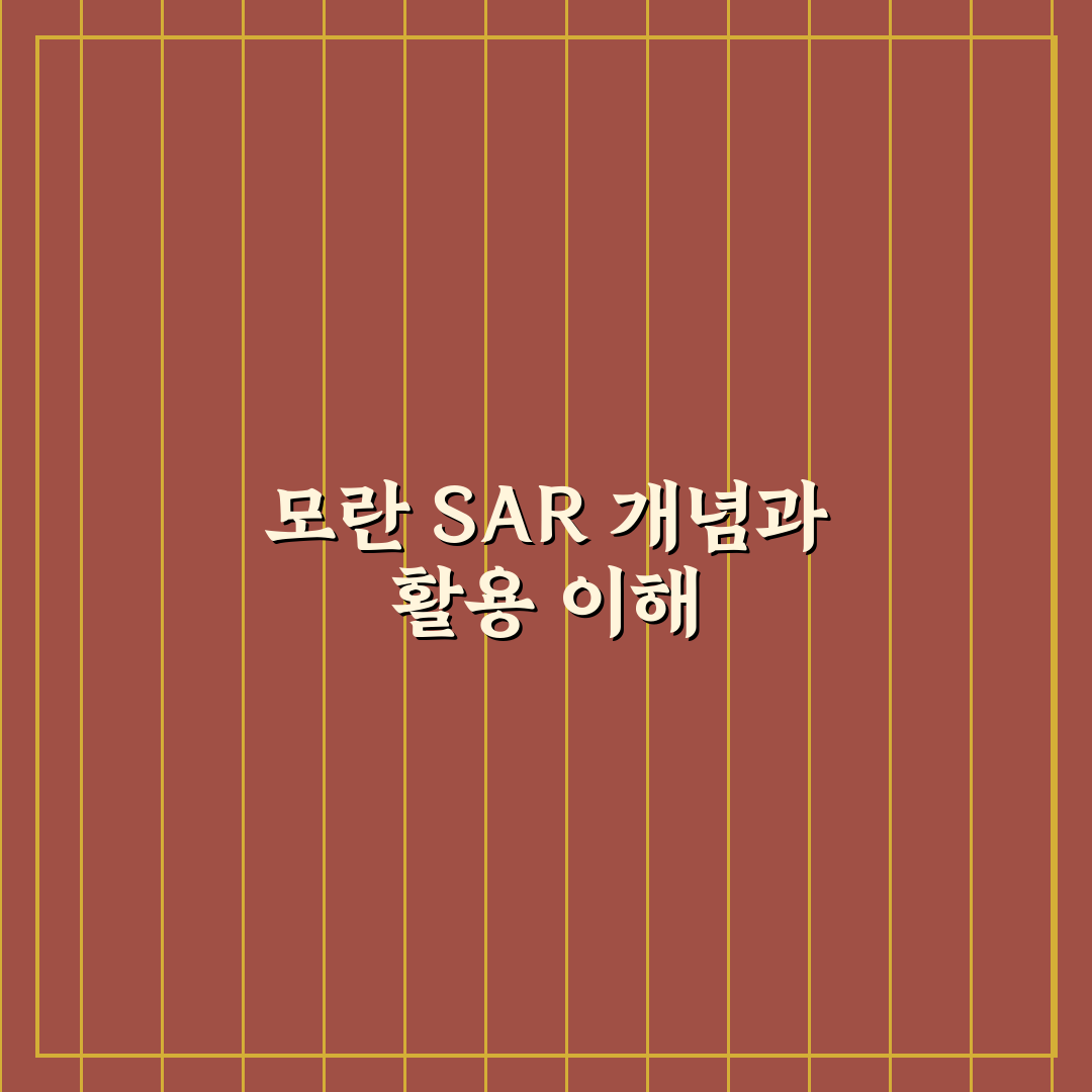 모란 sar 기초부터 활용 꿀팁까지 한눈에 정리