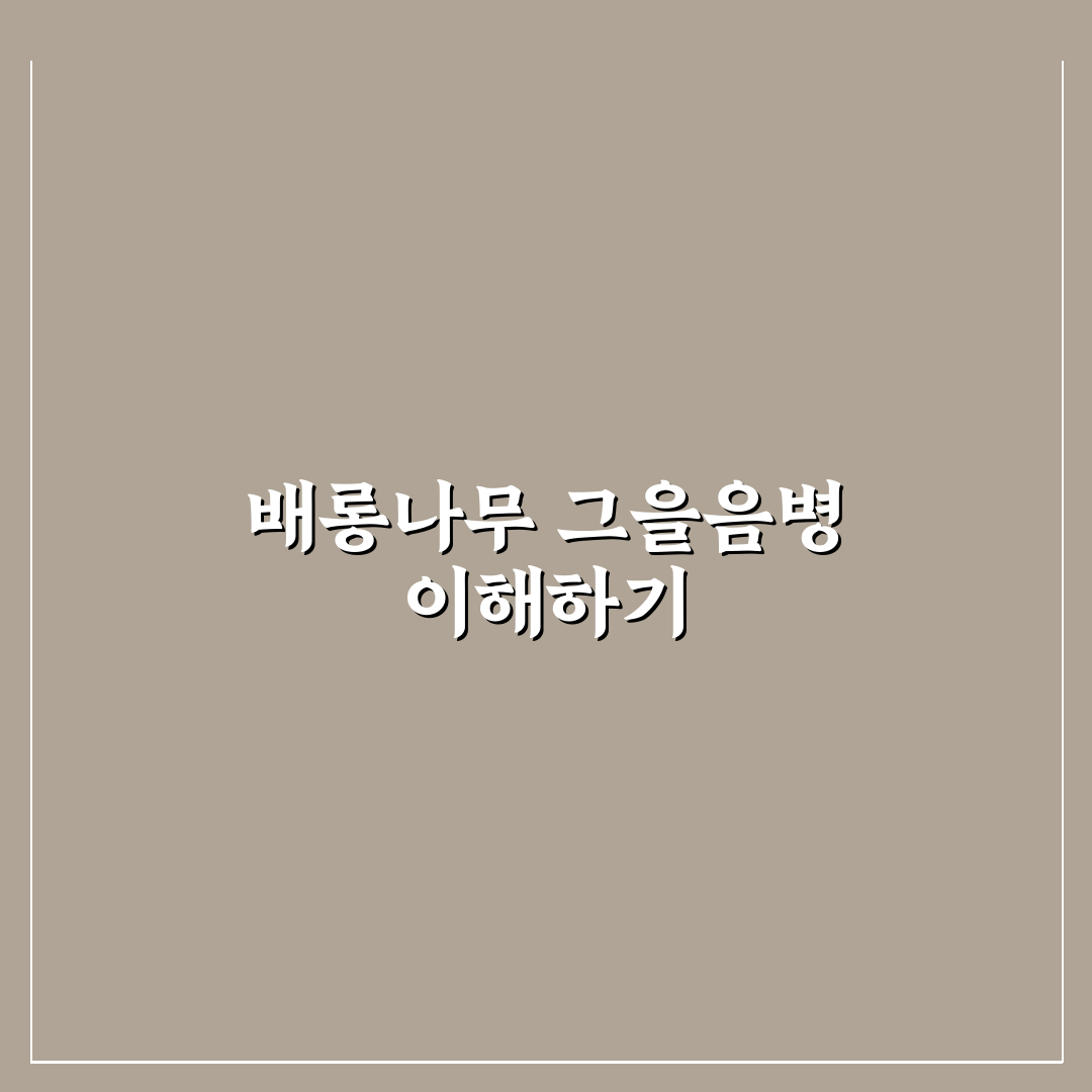 배롱나무 그을음병 증상과 관리 꿀팁 알려드려요