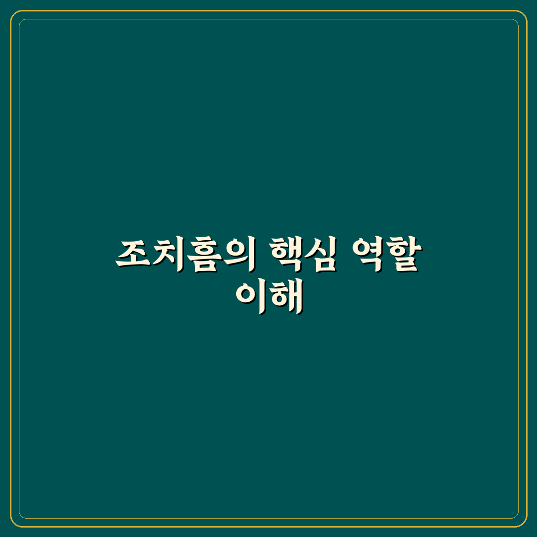조치흠 프로필과 주요 경기 기록 정리