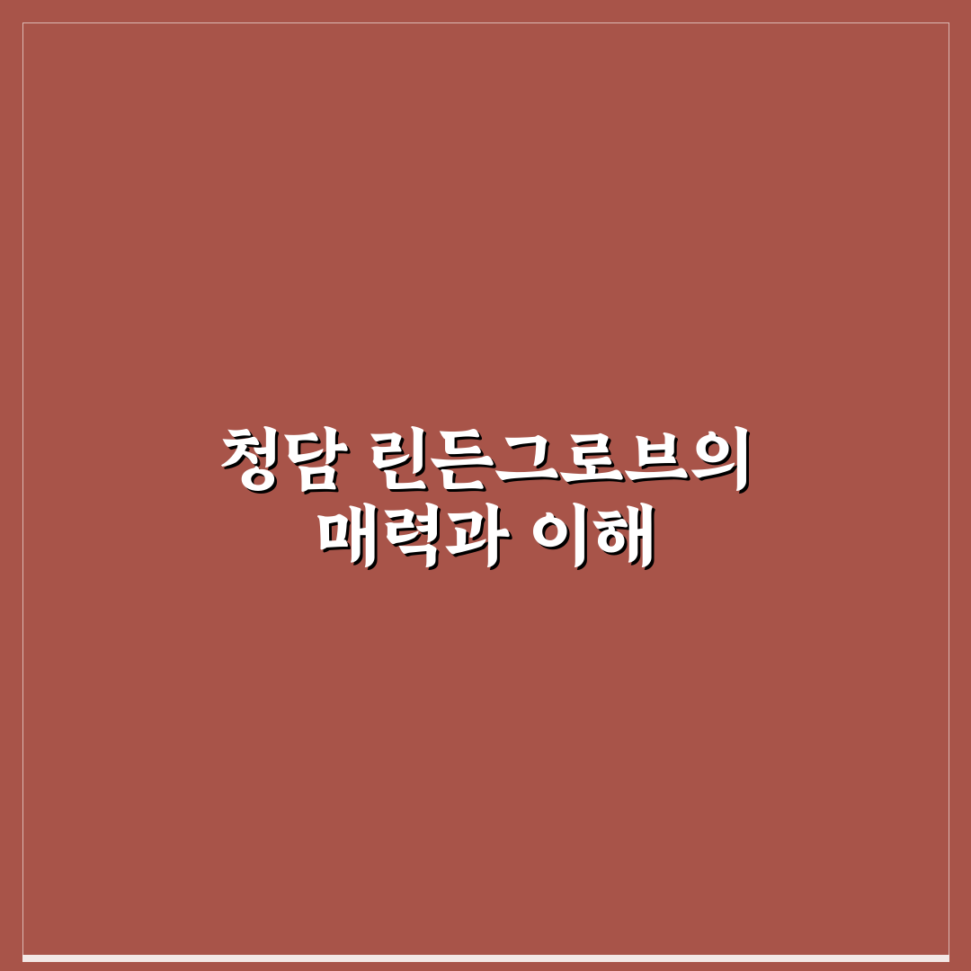 청담 린든그로브 방문 전 알아두면 좋은 꿀팁 정리