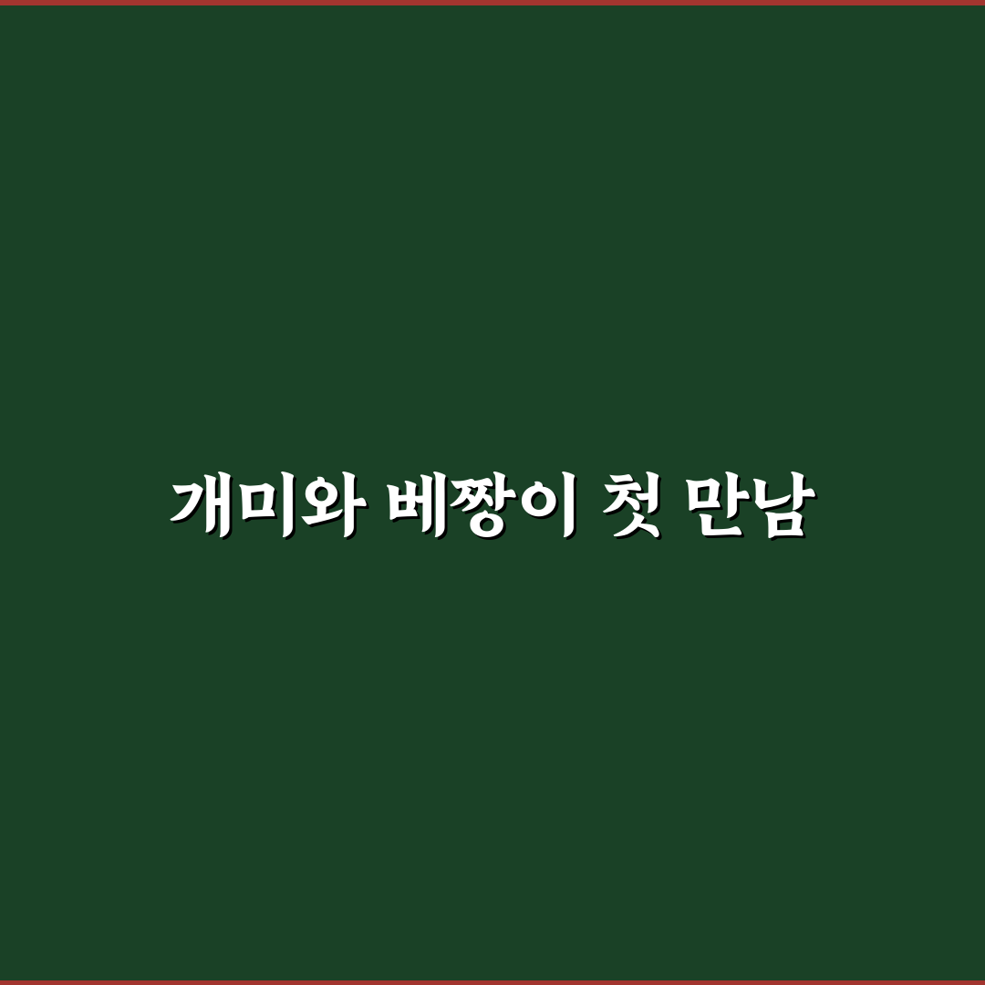 개미와 베짱이 전주 방문 후기, 공연 분위기는 어땠나