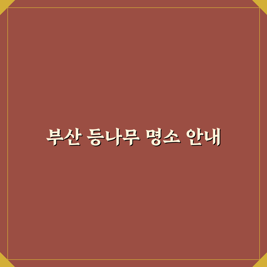 부산 등나무 명소 추천과 방문 꿀팁 정리