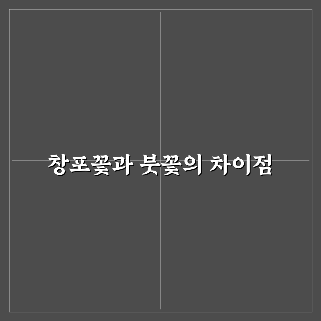 창포꽃과 붓꽃 차이 쉽게 이해하는 방법과 꿀팁