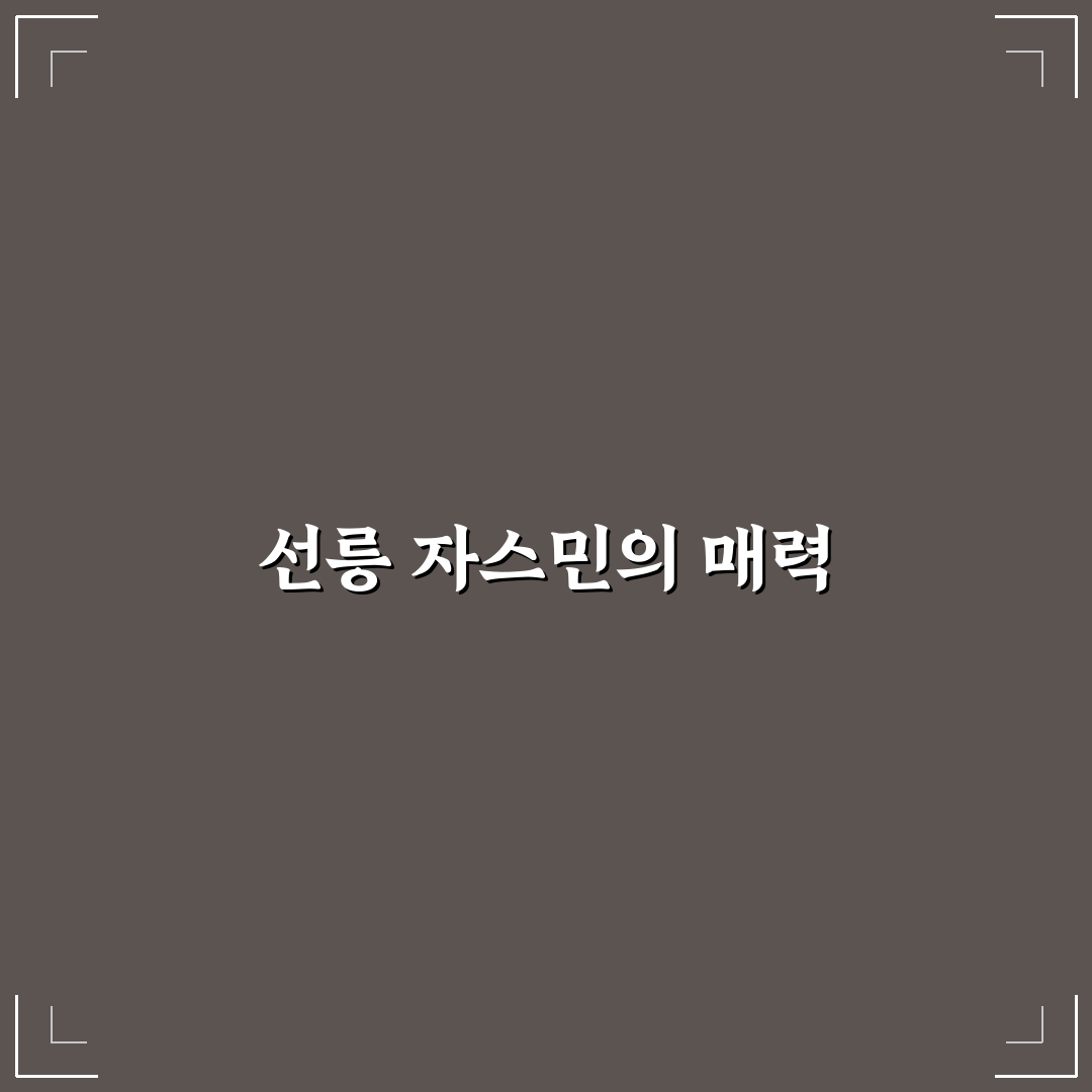 선릉 자스민 후기 꿀팁과 진솔한 경험 공유
