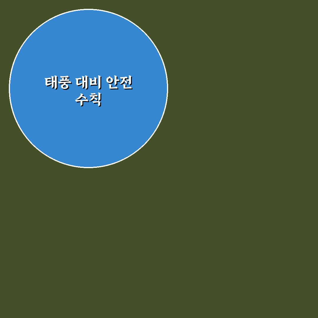 태풍 특보시 행동 꿀팁과 안전 수칙 정리
