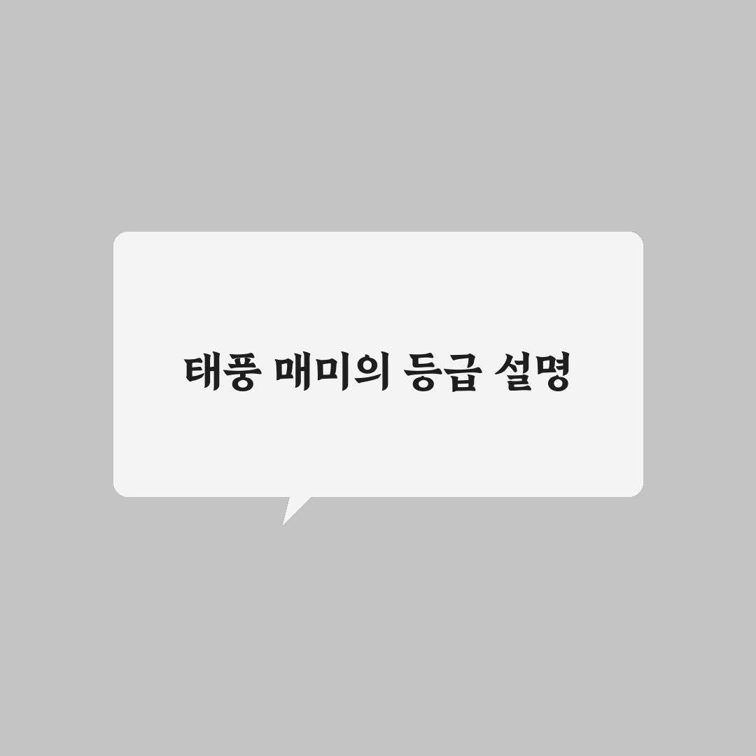태풍 매미 등급에 대한 자세한 정보와 꿀팁 공유