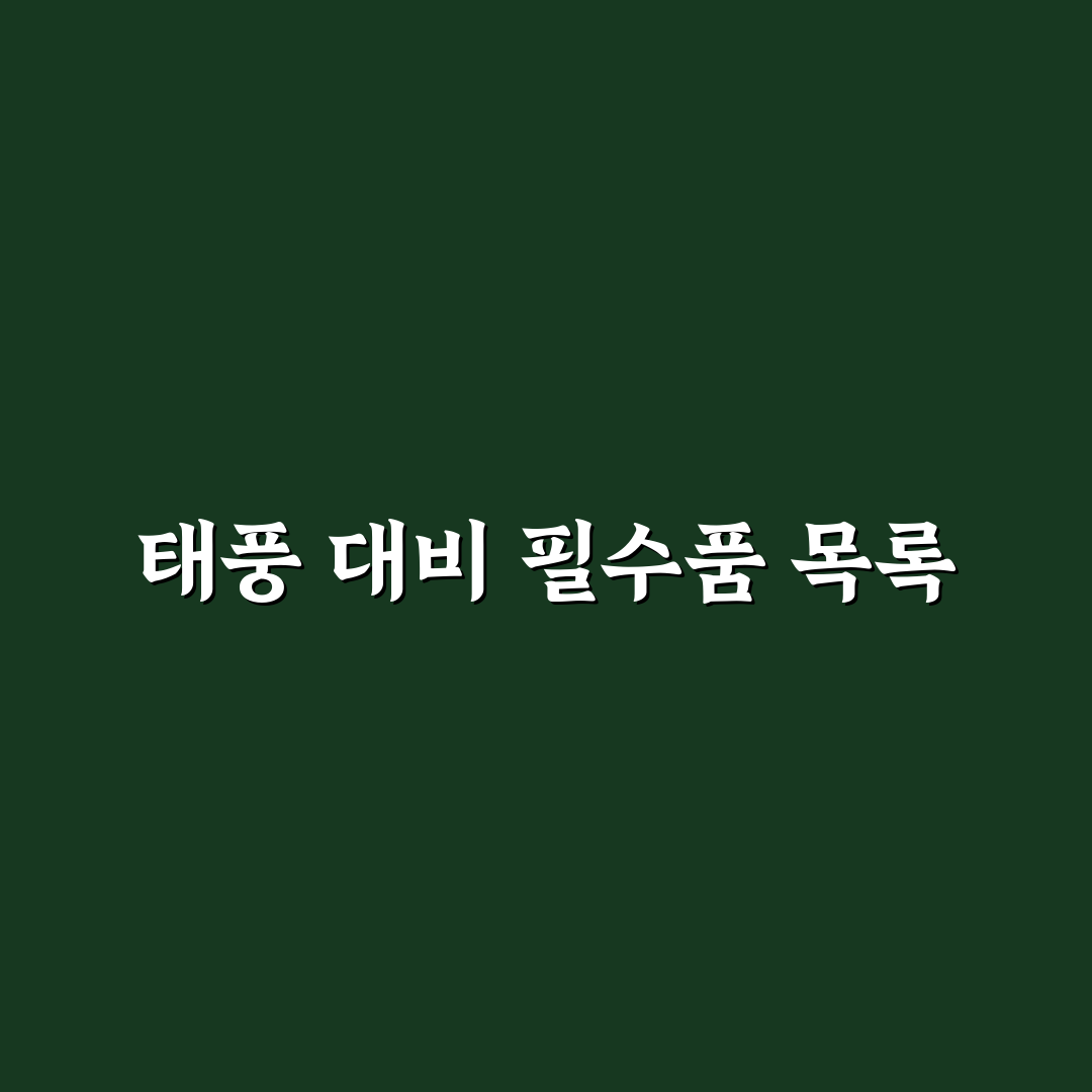 태풍 대처 준비물 꿀팁과 필수 아이템 정리